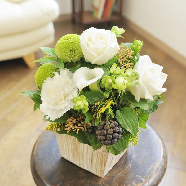 AWgt[SSTCY@Refreshing CoolnessiO[Enj