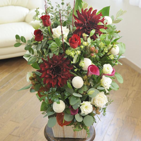 AWgt[LTCY@Vivid RediԌnj