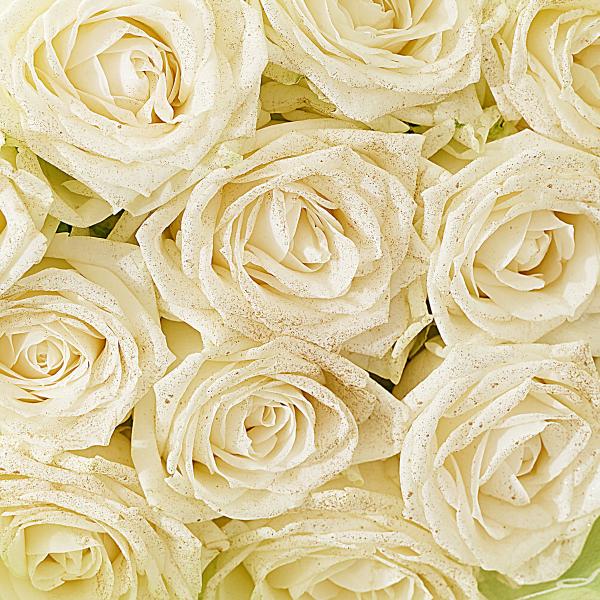 花束・ブーケ ゴールドラメ仕様（18金/K18）白バラ12本 : SP GiftS