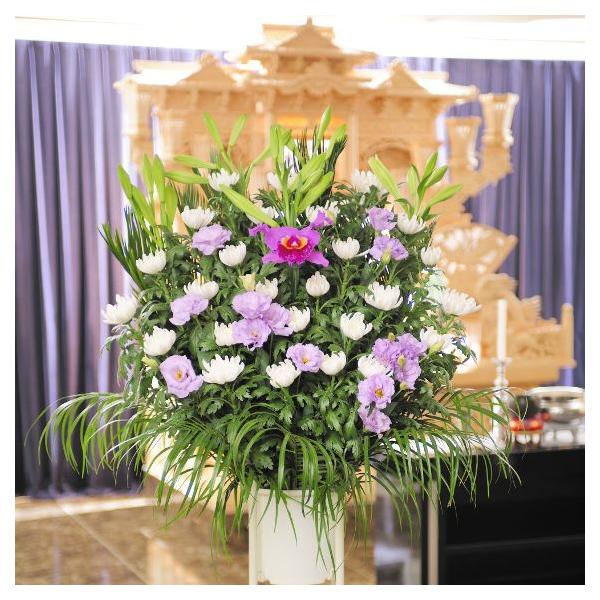 z@ԃX^hiaԁEnj1.5~R[XIԁE݉ԁEVԁ@yz