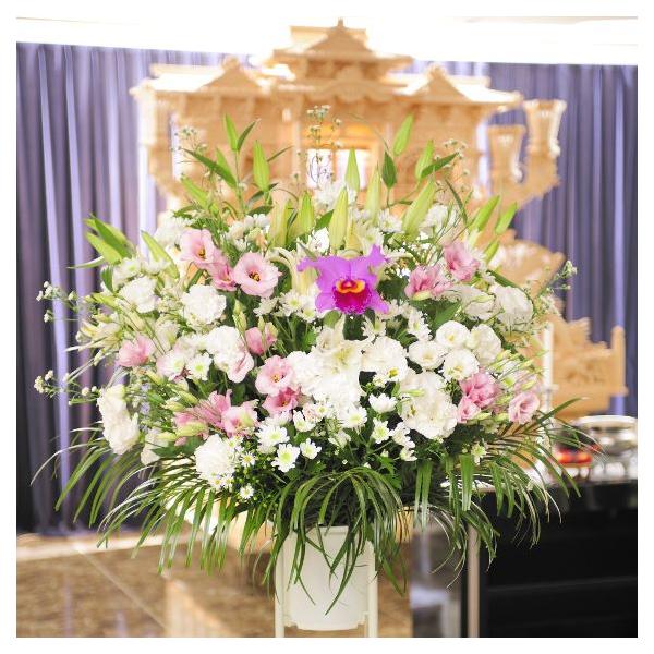 z@ԃX^himԁEsNnjQ~R[XEԁE݉ԁEVԁyz