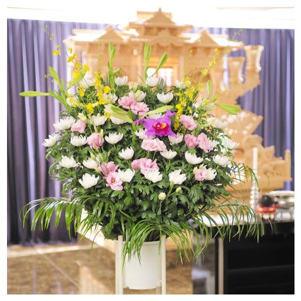 z@ԃX^hiaԁ@EsNnjQ~R[XEԁE݉ԁEVԁ@yz