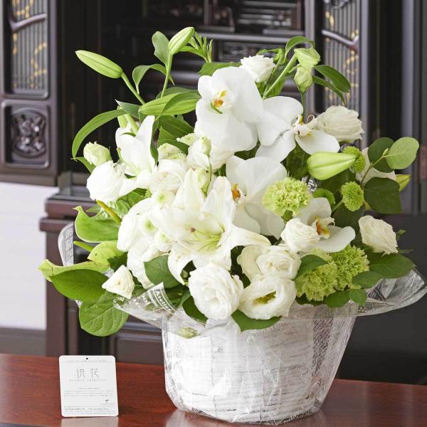 ԁ@_AWgt[@܂~bNXiLTCYj