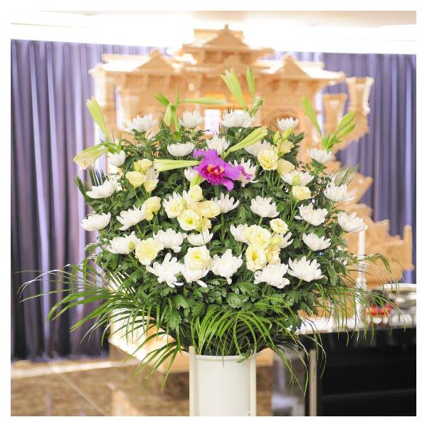 z@ԃX^hiaԁ@EFnjQ~R[XEԁE݉ԁEVԁ@yz