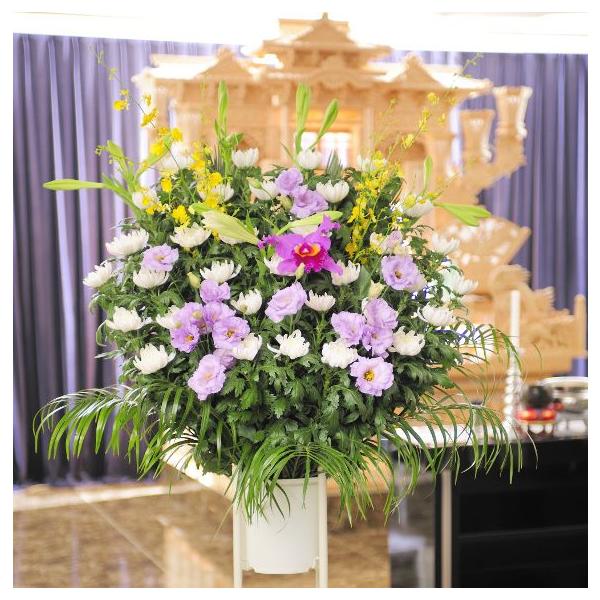 z@ԃX^hiaԁ@EnjQ~R[XEԁE݉ԁEVԁ@yz