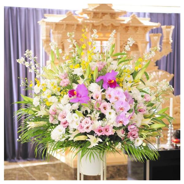 z@ԃX^himԁEsNjR~R[X@ԁE݉ԁEVԁ@yz