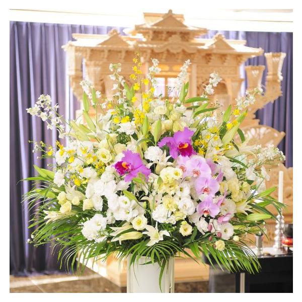 z@ԃX^himԁEFnjR~R[X@ԁE݉ԁEVԁ@yz