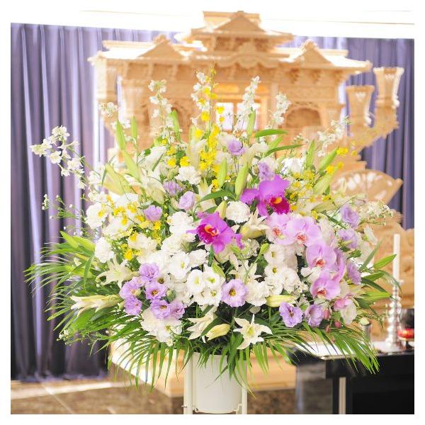 z@ԃX^himԁEnjR~R[X@ԁE݉ԁEVԁ@yz