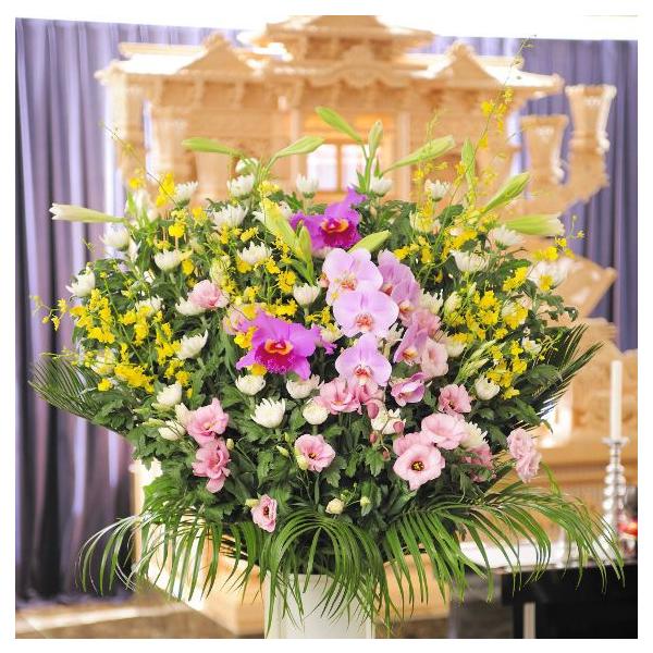 Sz@ԃX^hiaԁEEsNnjR~R[X@ԁE݉ԁEVԁ@yz