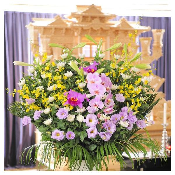 Sz@ԃX^hiaԁ^EnjR~R[X@ԁE݉ԁEVԁ@yz