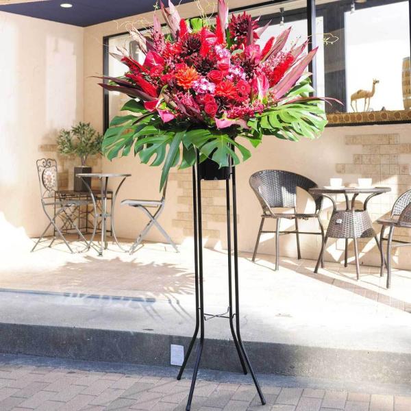 X^hԁ@i2~R[X@OWA[_iԌnj