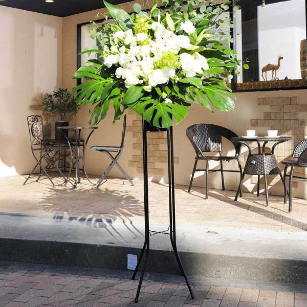 X^hԁ@i2~R[X@tbVO[i×O[nj