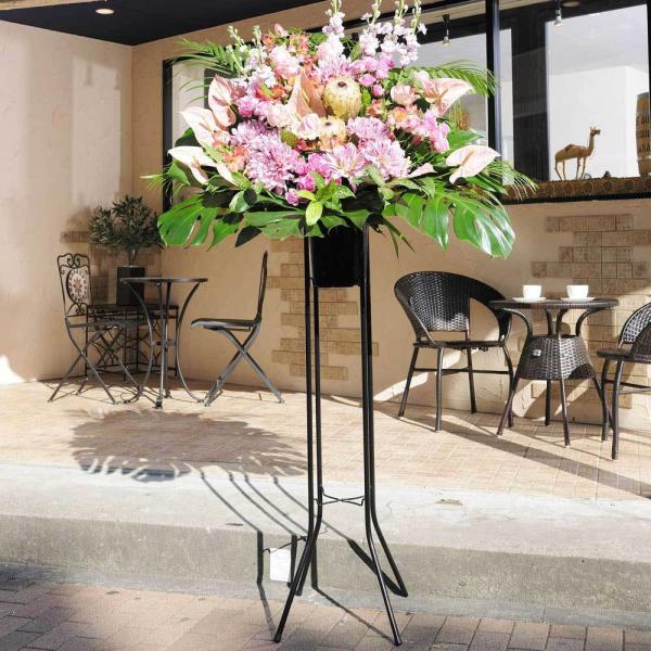 X^hԁ@i2.5~R[X@XyVXEB[gisNnj