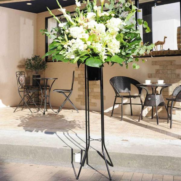 X^hԁ@i2.5~R[X@tbVO[i×O[nj