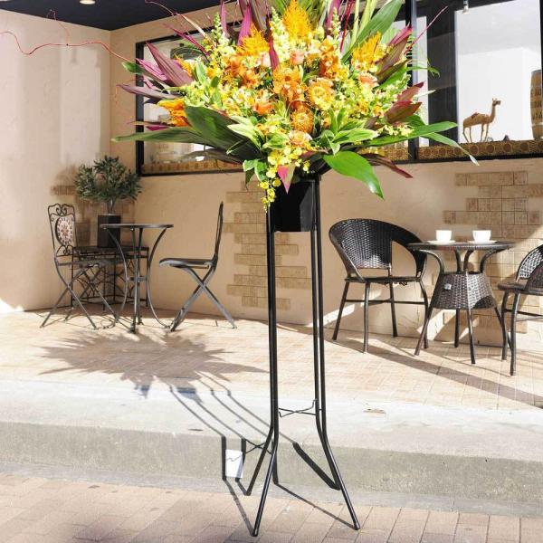 X^hԁ@i2.5~R[X@pbVlCgiF×IWnj