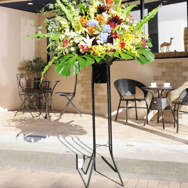 X^hԁ@i3.5~R[X@t@CjXgiCE~bNXnj