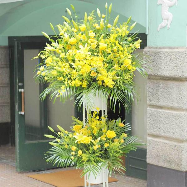 X^hԁ@i1Fw@2~R[XiFnj