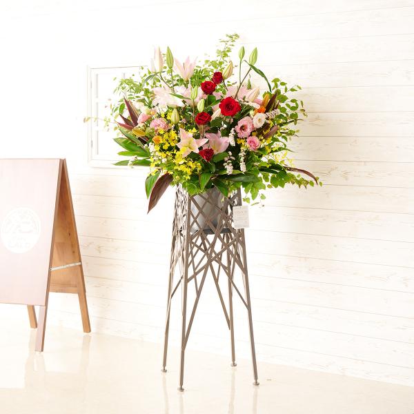 zn@fUCi[YX^hԁ@u`^Cv@܂J[