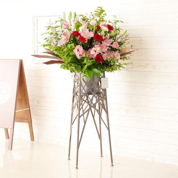 zn@fUCi[YX^hԁ@u`^Cv@sN