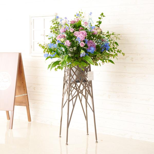 zn@fUCi[YX^hԁ@u`^Cv@u[p[v