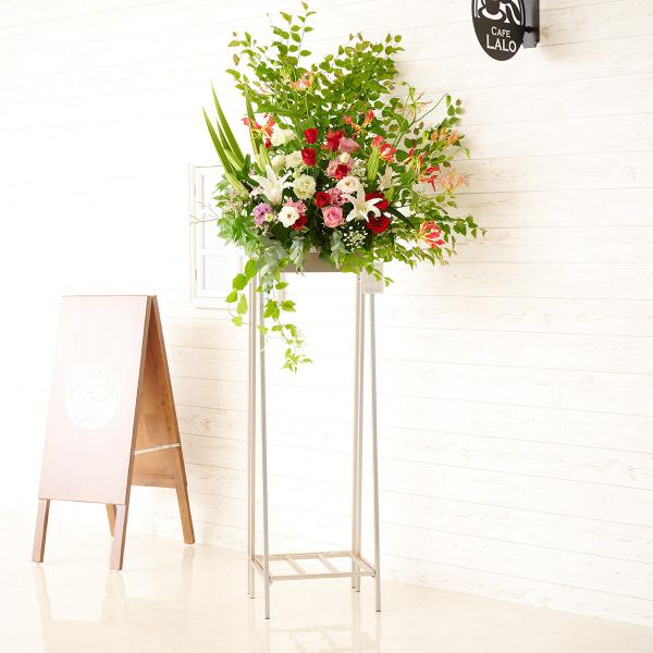 zn@fUCi[YX^hԁ@p^Cv@܂J[