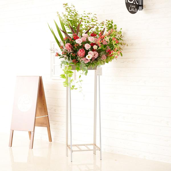 zn@fUCi[YX^hԁ@p^Cv@sN