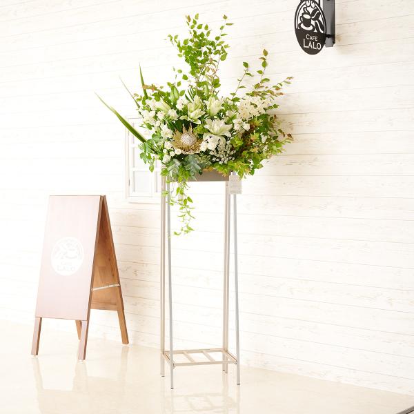 zn@fUCi[YX^hԁ@p^Cv@O[