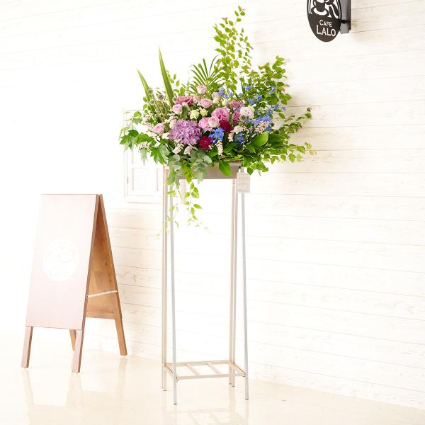 zn@fUCi[YX^hԁ@p^Cv@u[p[v