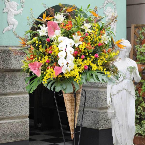 zn A[gX^hԁ@R[^@3~R[X