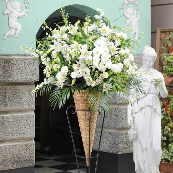 zn A[gX^hԁ@R[^@3~R[Xinj