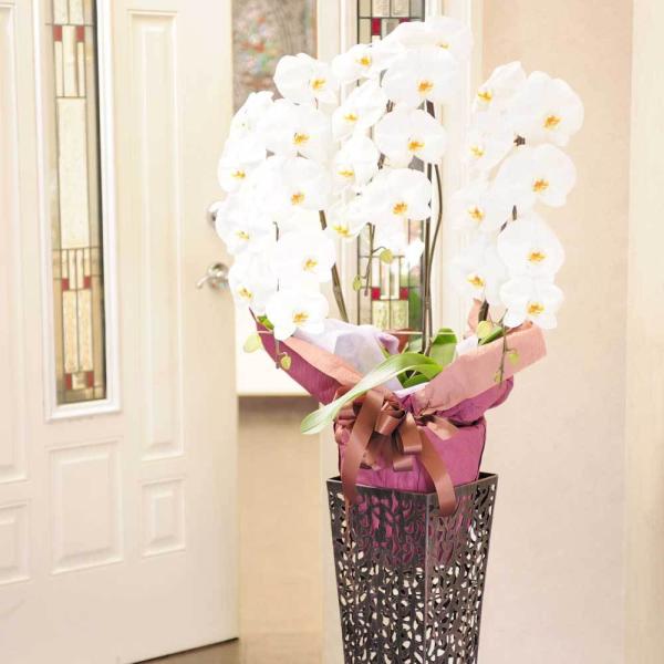 zn X^hԁ@Ӓi[X^hjuL^@3~R[X