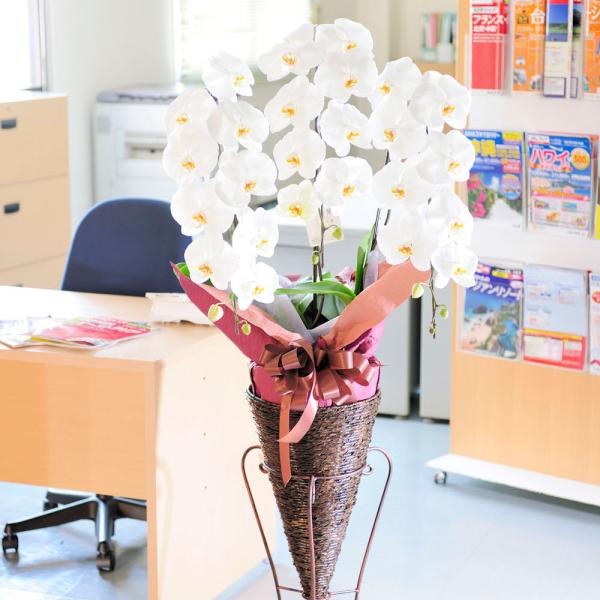 zn X^hԁ@Ӓi[X^hjR[^@3~R[X