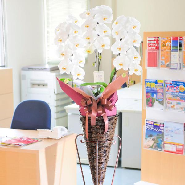 zn X^hԁ@ӒinCX^hjR[^@3~R[X