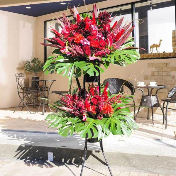 X^hԁ@i3~R[X@OWA[_iԌnj