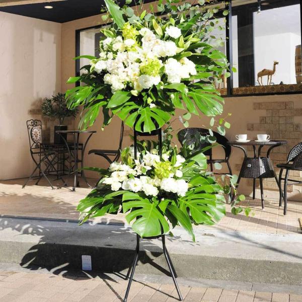 X^hԁ@i3~R[X@tbVO[i×O[nj