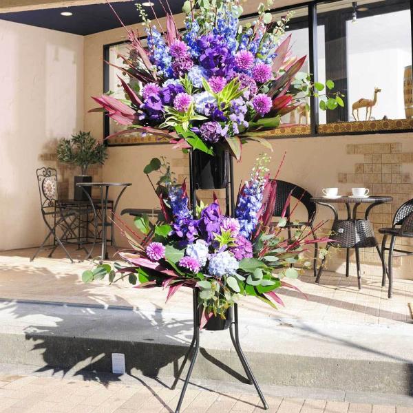 X^hԁ@i3~R[X@u[lXip[v×u[nj