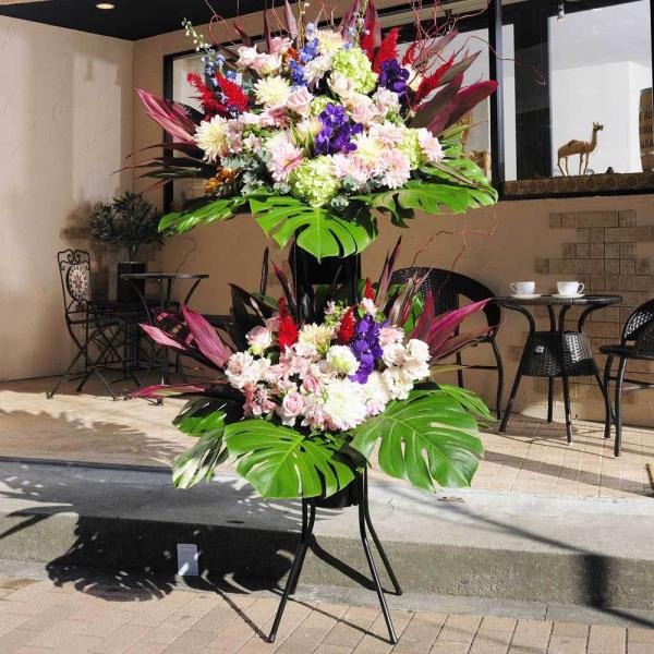 X^hԁ@i3~R[X@GXybV[iCE~bNXnj