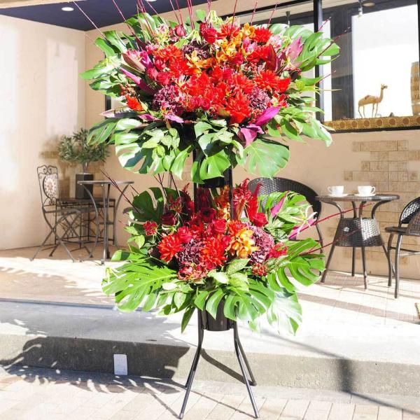 X^hԁ@i4~R[X@OWA[_iԌnj