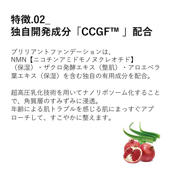 bjc-onlineshop_spicare-v3-01_4_d_20250710110136