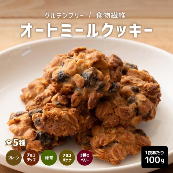 5味から選べる オートミールクッキー 100g入 健康 おやつ ダイエットクッキー 低糖質 糖質オフ お菓子 グルテンフリー 食品 体にいいお菓子 ヘルシー 310000