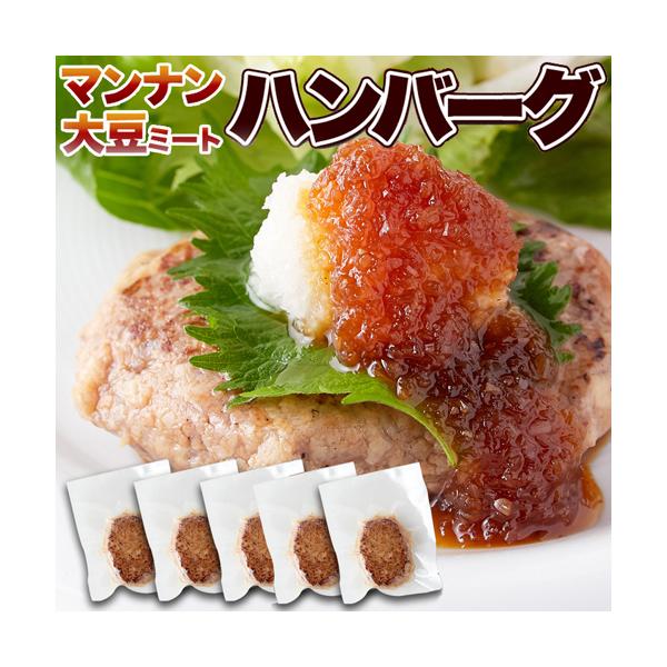 ヴィーガン 大豆のお肉 ハンバーグ 5個 ダイエット食品 ビーガン 大豆ミート  ミンチ ベジタリアン ベジタリアン食品 325211-05
