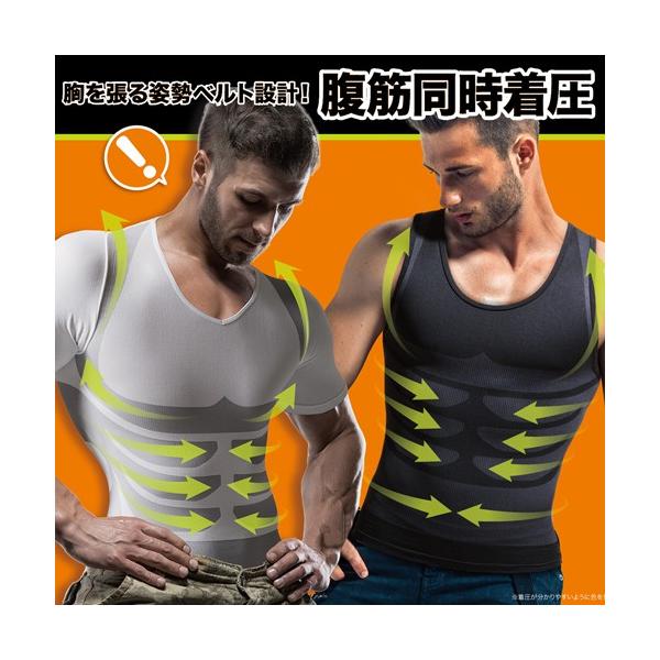 Lw Vc  A_[EFA[ Y  Ci[ ؓ w  ␳ Lw  GNTTCY 328301