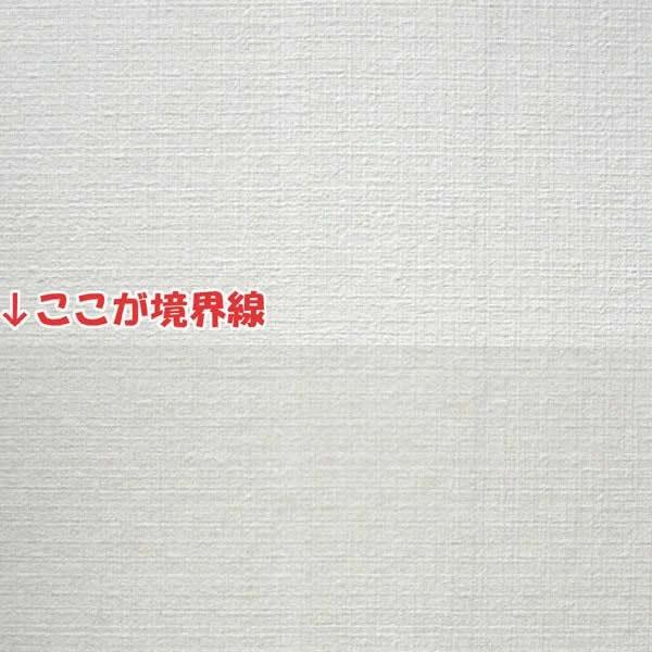 いよいよ人気ブランド 壁紙をキズ汚れから保護するシート 46cm m Hkh 01rs