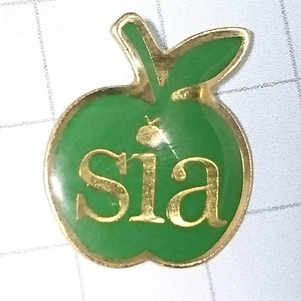 送料無料≫青りんご ☆アンティーク ピンバッジ A00981