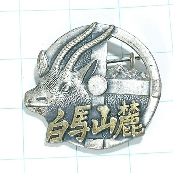 送料無料)白馬山麓 昭和レトロ ご当地 観光地 登山 山登り 旅行 記念