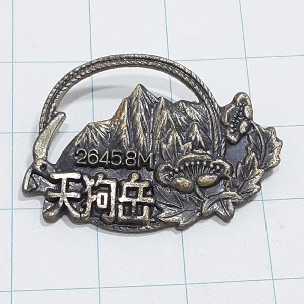 メモリアルバッジ　山バッヂ　日本百名山　天狗岳 送料無料)天狗岳 観光 旅行 登山 記念 山バッジ ピンバッジ PINS