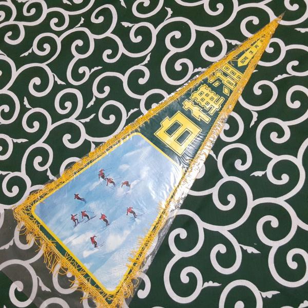 送料無料)白樺湖 昭和レトロ ご当地 観光地 旅行 記念 お土産