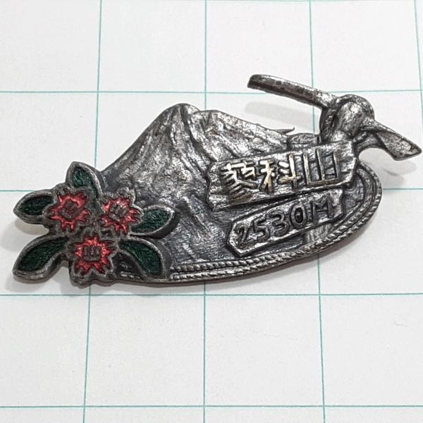 送料無料)蓼科山 観光 旅行 登山 記念 山バッジ ピンバッジ PINS