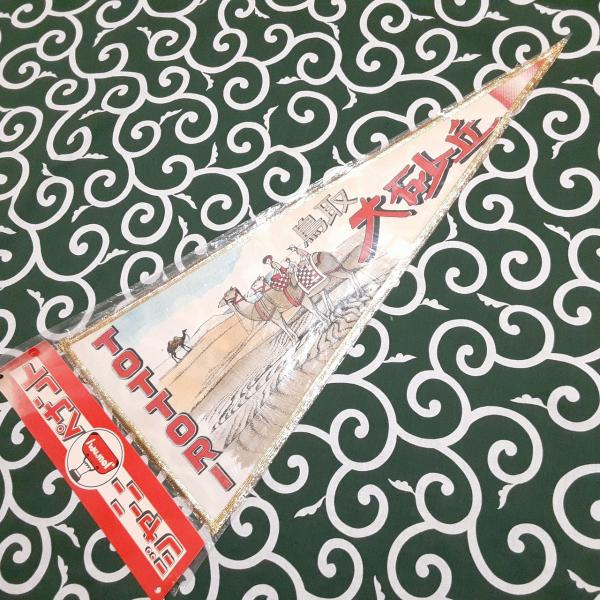 送料無料)鳥取大砂丘 昭和レトロ ご当地 観光地 旅行 記念 お土産70cm