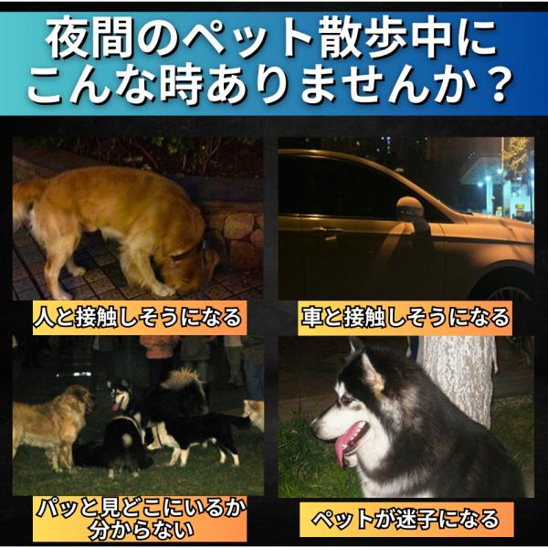 blacklucky_16-1_1_d_20231121191405